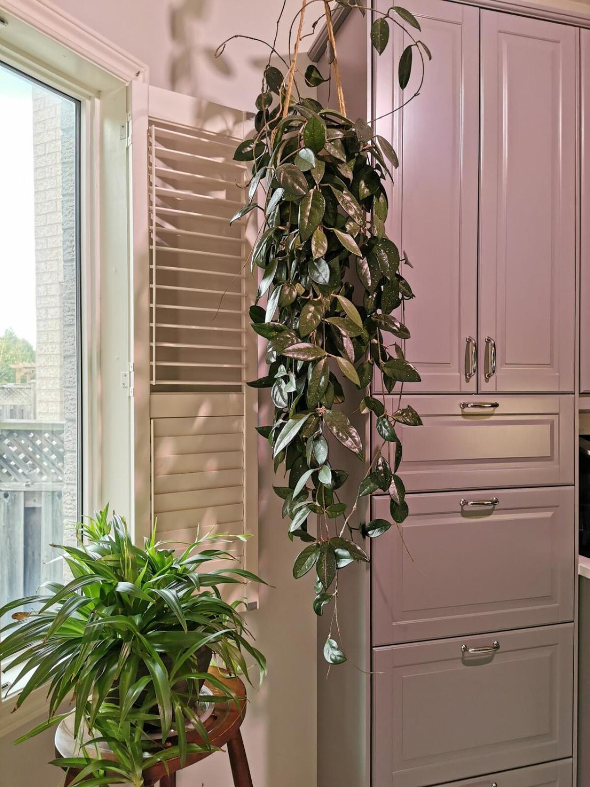 4 Bedroom 3 Washroom Charming Home In Markham With Warm Cozy Vibe 外观 照片